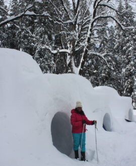 Igloo Escapade