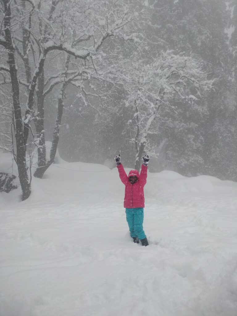 Snowfall igloostay Manali