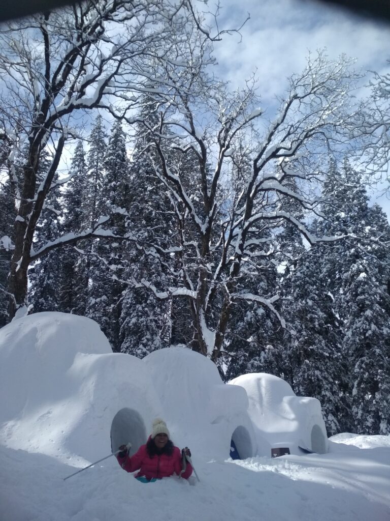 Cozy igloo stay in Manali, India - unique snow accommodation with starry sky views.