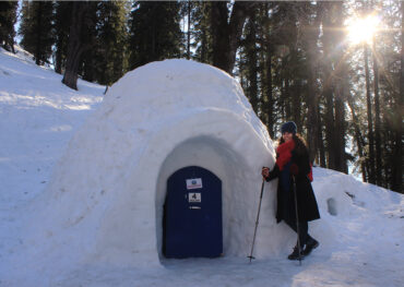 Adventure stay at Igloo