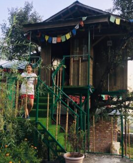 Dharamshala Tree House Stay