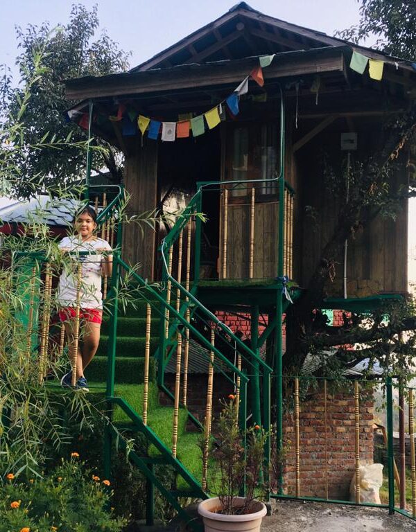 Tree House stay Mcleodganj, Hiru village, Dharamshala , Himachal Pradesh