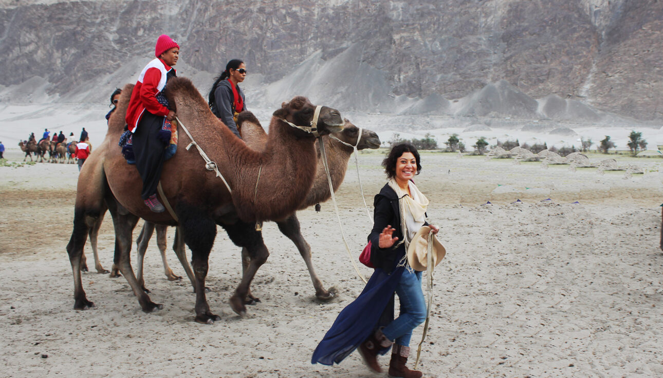 The journey of travelhikes