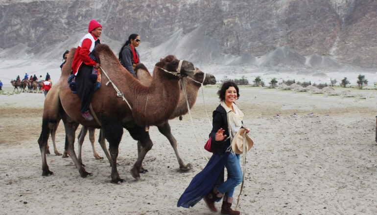 The journey of travelhikes